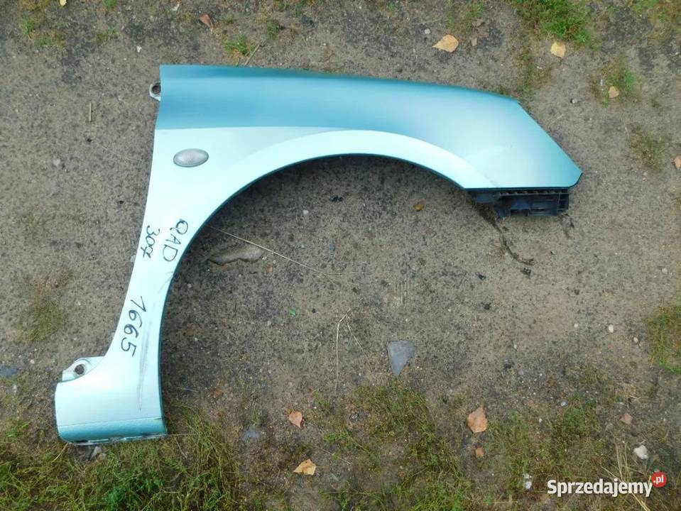 peugeot 307 błotnik kolor QHDE 1665 WYSYŁKA Żory