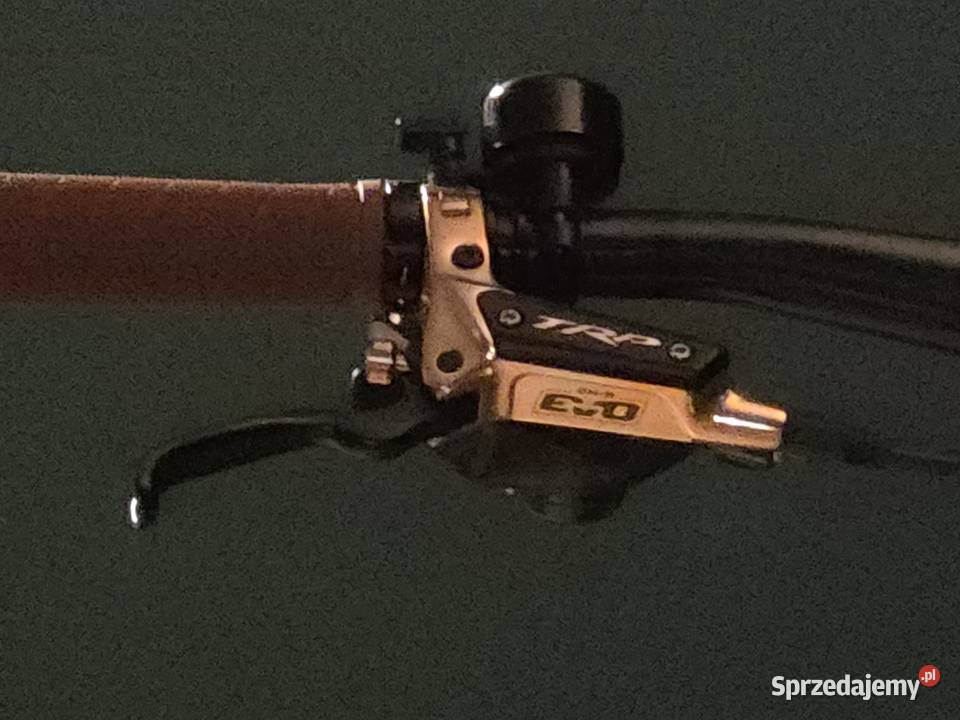 Trek RAIL 99 custom 2 baterie podkarpackie