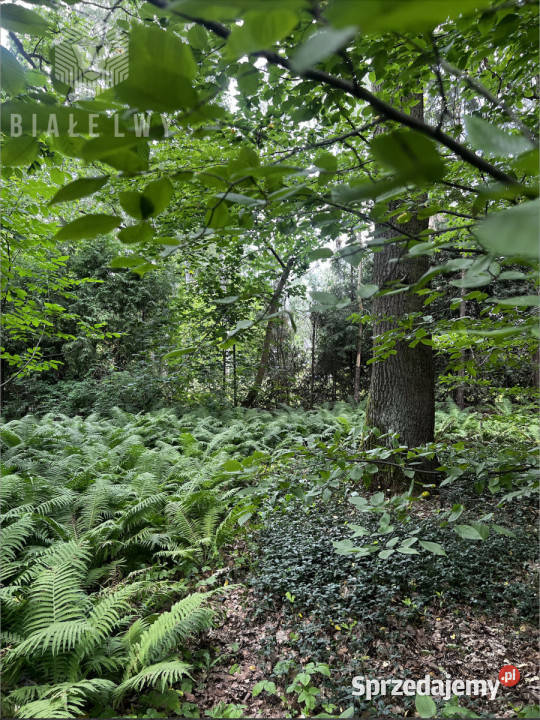 Dom wolnostojący 100m2 Magdalenka