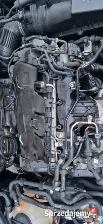 Audi TT 8J 2010 20 TDi 2000cm3 Płytnica sprzedam