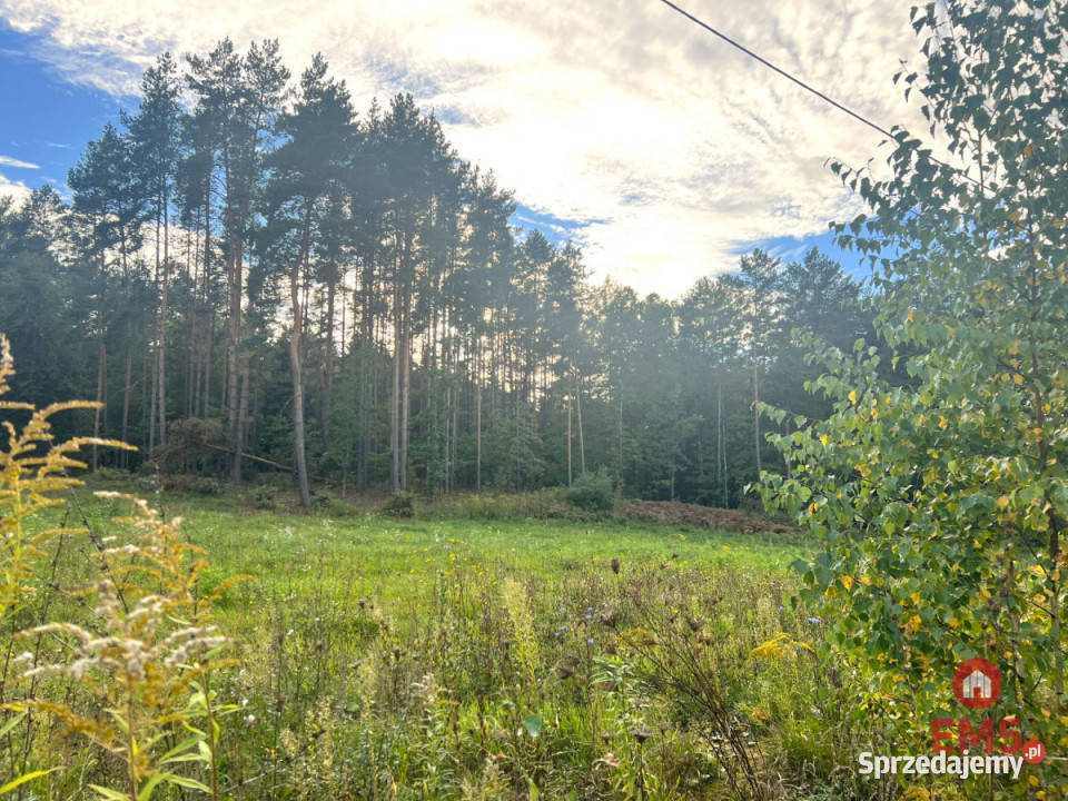 Sprzedam grunt 1500 metrów Karakule sprzedam