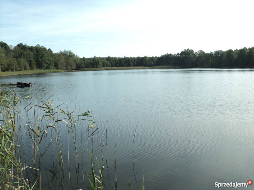 jezioro z ziemią 65000m2 Grunty i działki Gorzów Wielkopolski