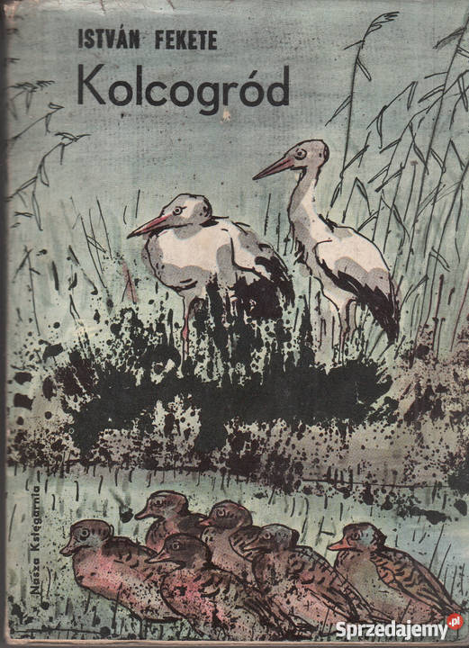 03070 KOLCOGRÓD ISTVAN FEKETE Czyrna