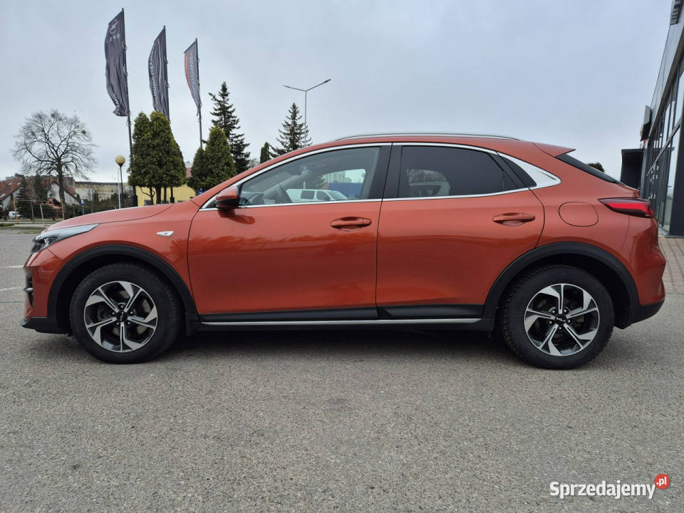 Kia XCeed MSmart 16 TGDI 160 garażowany XCeed Giżycko