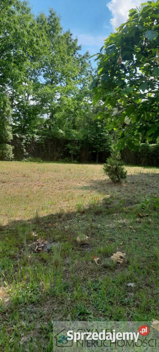 sprzedaży działki Dąbrowa Górnicza Spacerowa Grunty i działki śląskie