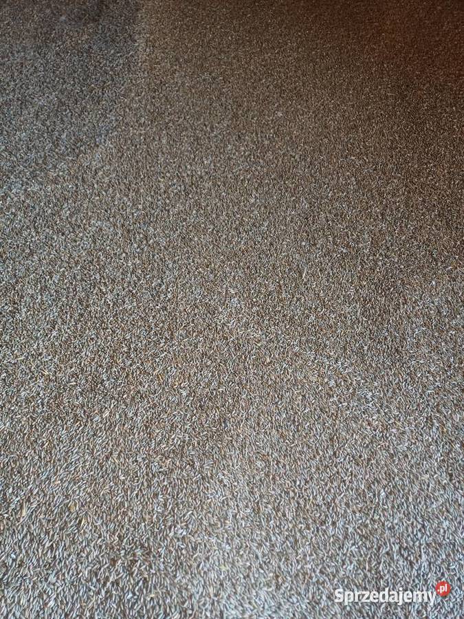 Sprzedam żyto Małopole