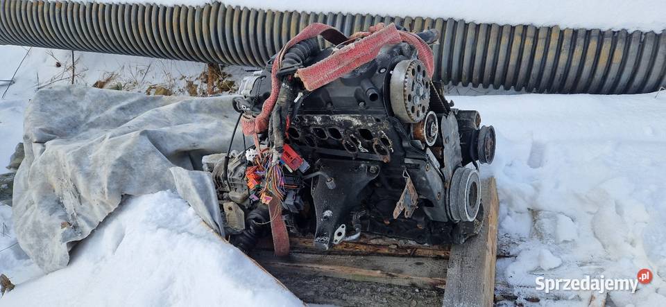 Silnik skrzynia passat b5 115 Blok silnika Orawka sprzedam