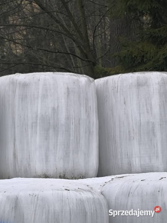 Sprzedam bale Nowe Bystre sprzedam