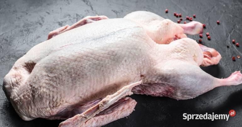 Sprzedam tuszkę gęsi