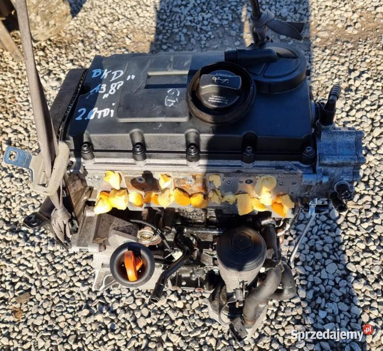 SILNIK 20 TDI BKD Audi Seat VW Volkswagen Skoda Psary-Kąty sprzedam
