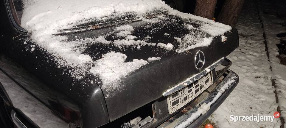 Klapa tylna W126 podkarpackie