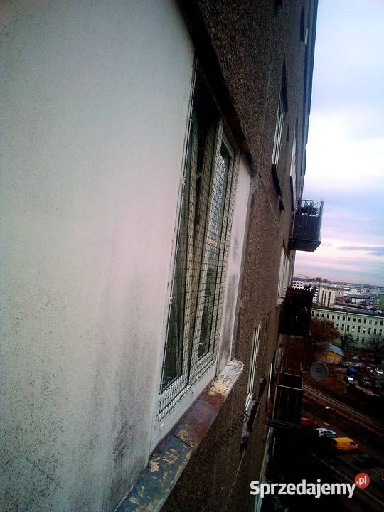 Montaż Siatka Kota Na Balkon Okno Taras Przeciw Legionowo