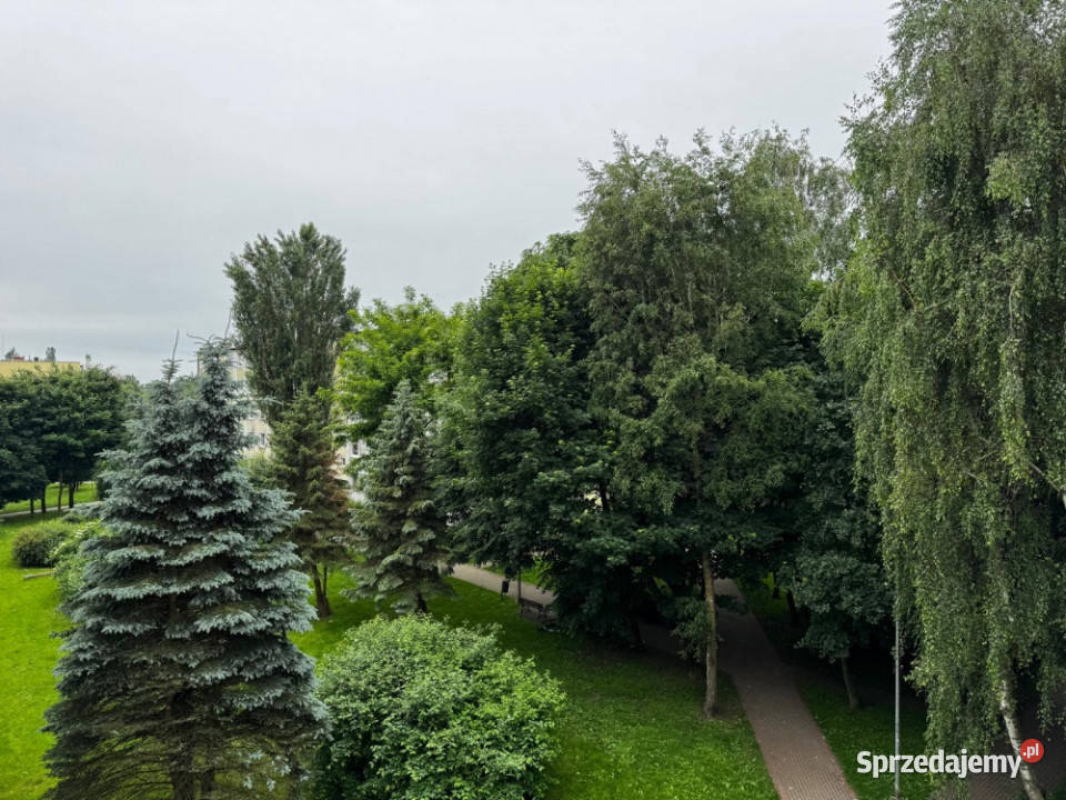 39m2 2 pokoje III piętro Spółdzielcze balkon Słupsk