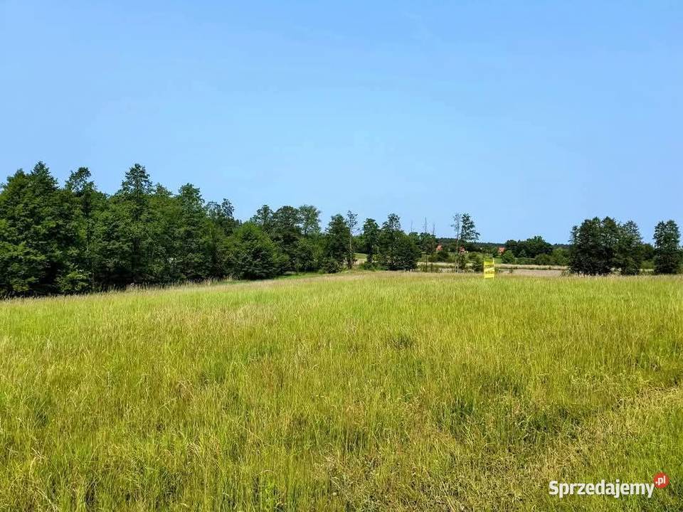 Działka z linią brzegową jeziora Wygryny w