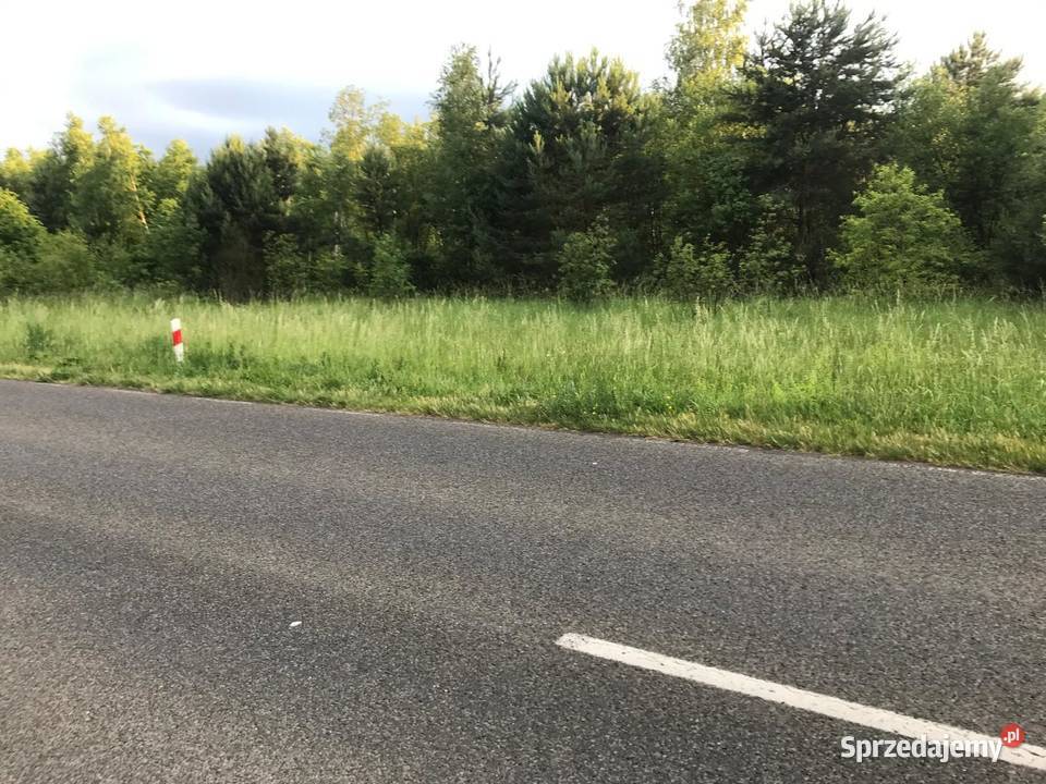 Sprzedam działki budowlane 3000 m2 Sprzedaż świętokrzyskie Bernów sprzedam