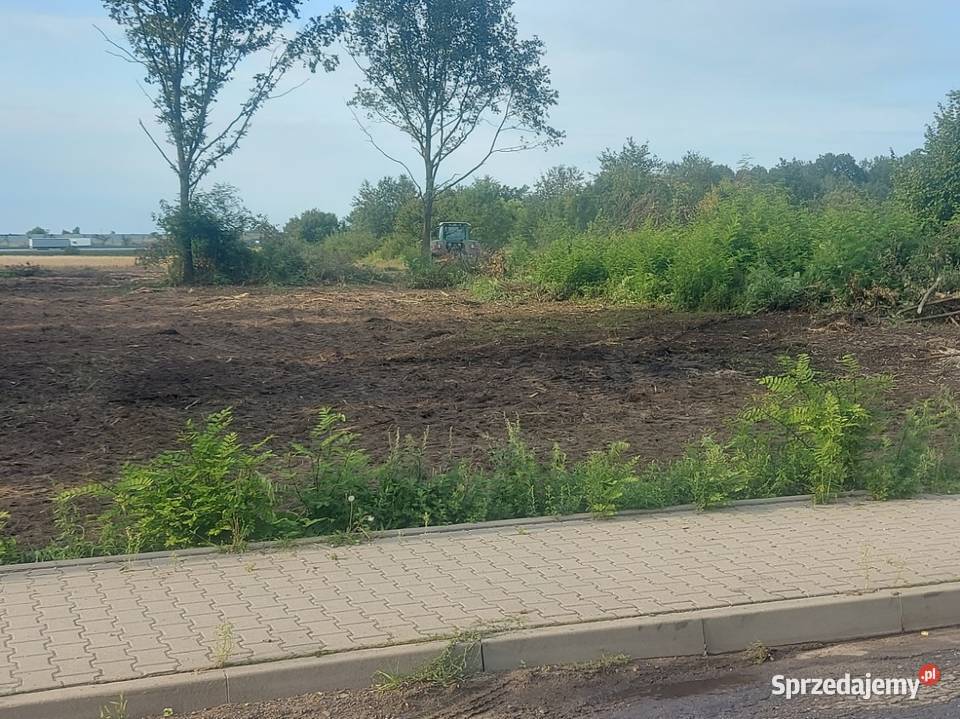 Wycinka drzew krzewówcięcie tui kompleksowe Częstochowa