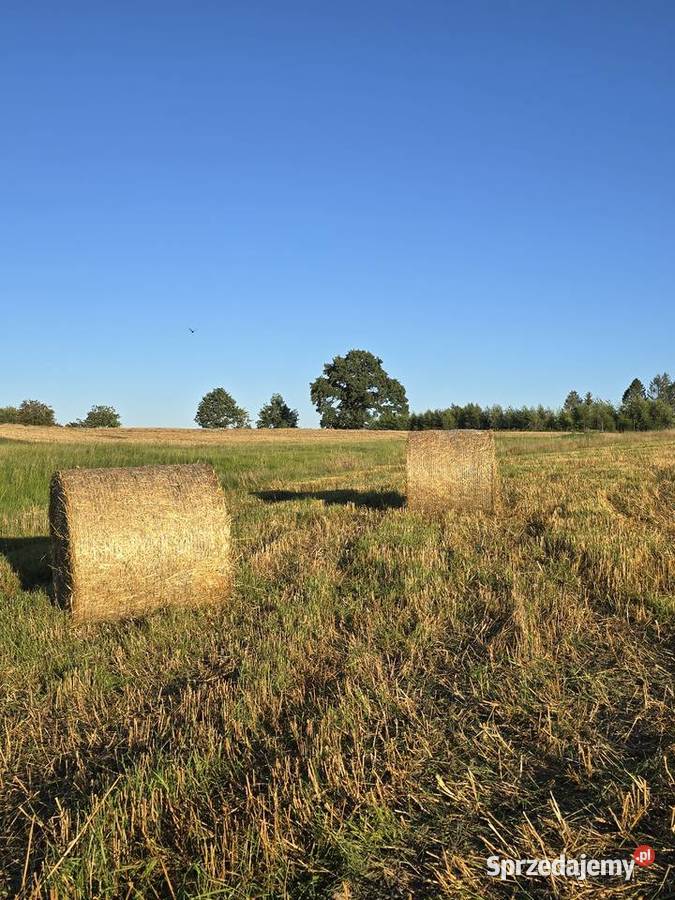 Sprzedam słomę z pszenżyta pszenicy i owsa Pozostałe Pomieczyńska Huta