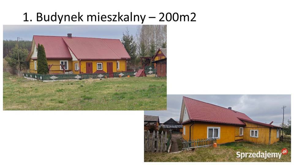 Siedlisko BOGUSZE Sprzedaż sprzedam