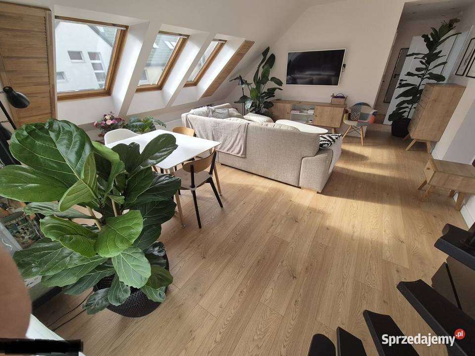 4pok 80met Kłodzkiej ANTRESOLABALKON Bielany oddzielna kuchnia Sprzedaż dolnośląskie sprzedam