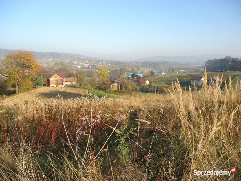 Sprzedam działki widokowe w Przedmieściu podkarpackie Czudec