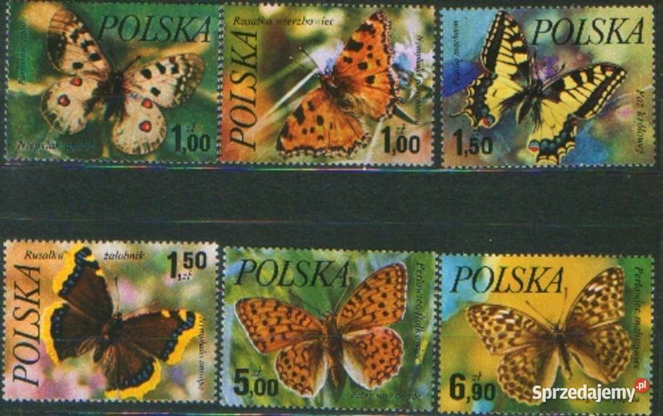 Zn Fi 2369 74 1977 Gliwice