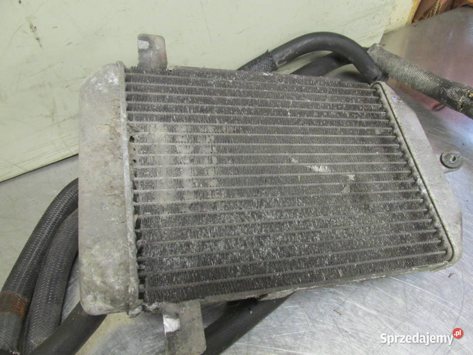 Sprzedam chłodnicę Suzuki Burgman 400 Sandomierz