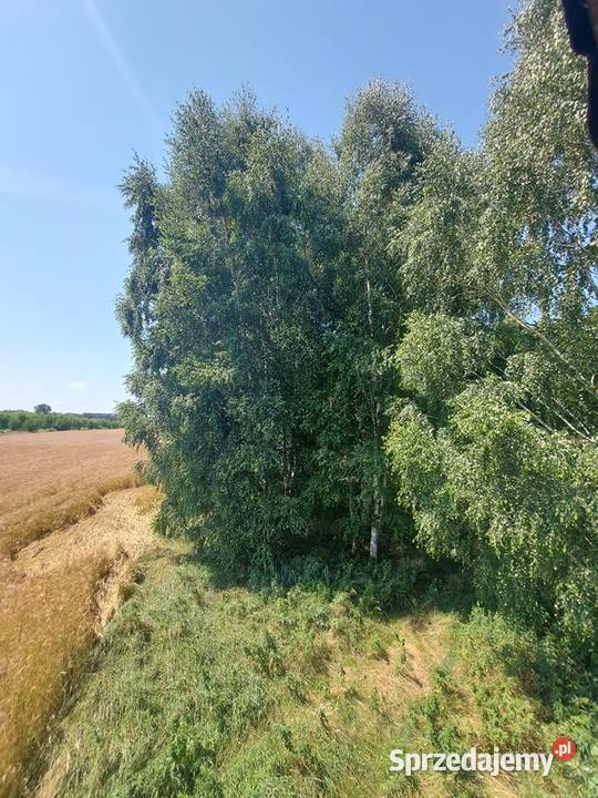 Działka rolna Bukowiec 5911 m2 Inwestycja Łódź