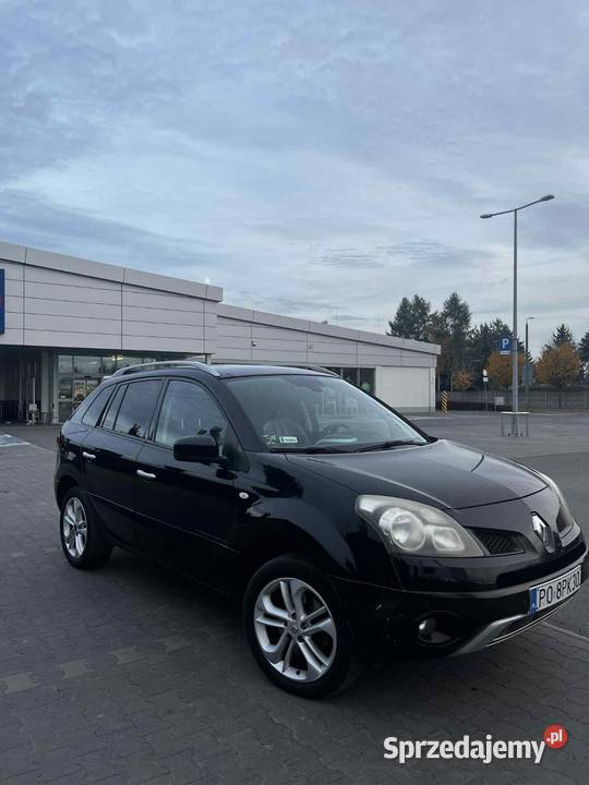 Renault Koleos 2011 niezawodny samochód bogate Poznań