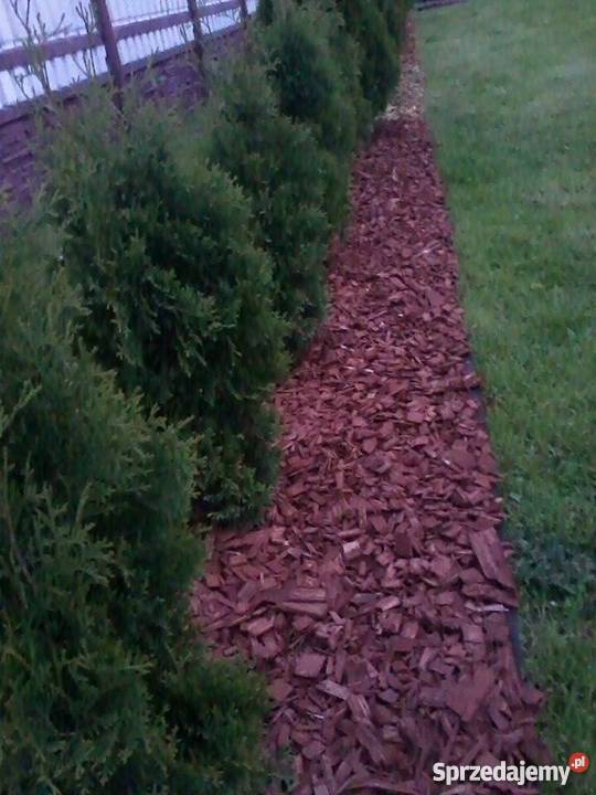 Kora KolorowaWiórki Dekoracyjne Kołoniec sprzedam