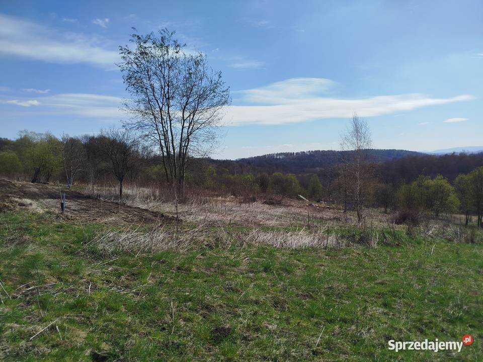 wynajmę działkę pod Krakowem rod p Wieliczka