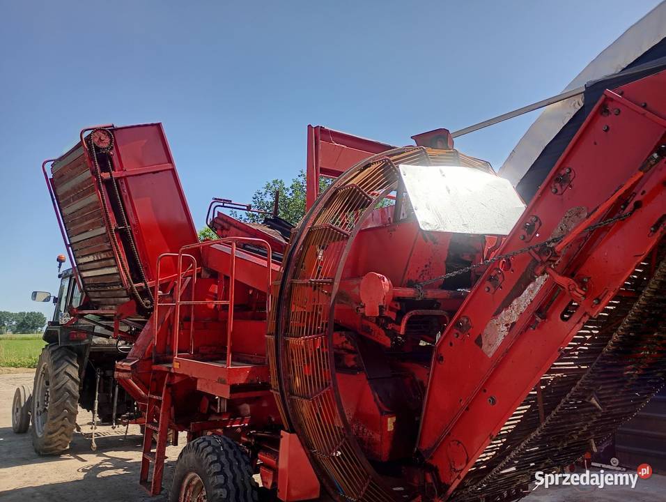 Kombajn do ziemniaków grimme 750 Marynowy