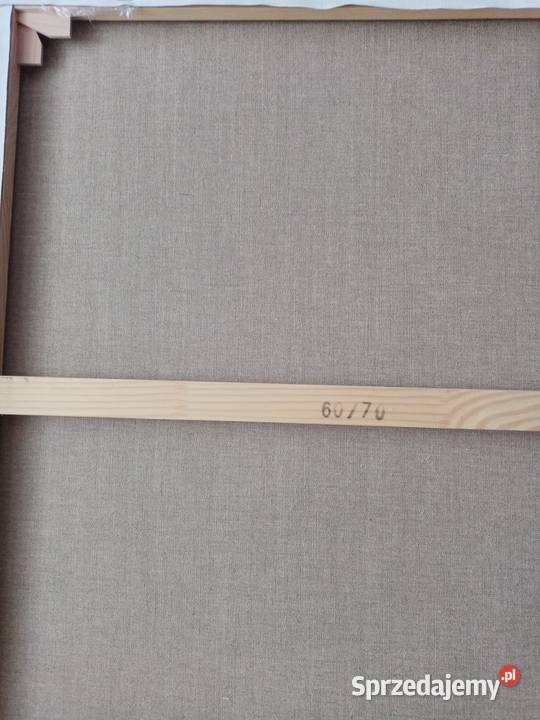 Pole w wazonie 60 X 70 płótno certyfikat NOWY zachodniopomorskie Kołobrzeg