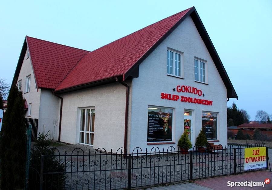 BURUNDUK WIEWIÓRKA SYBERYJSKA Tamias sibiricus Piła