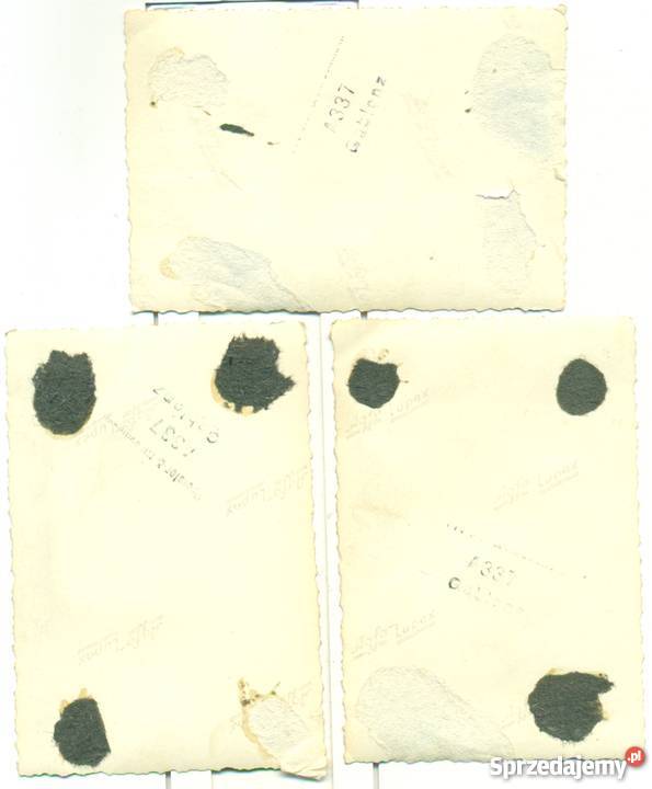 Stare fotografie kobiety żołnierz niemiecki 2 wielkopolskie sprzedam