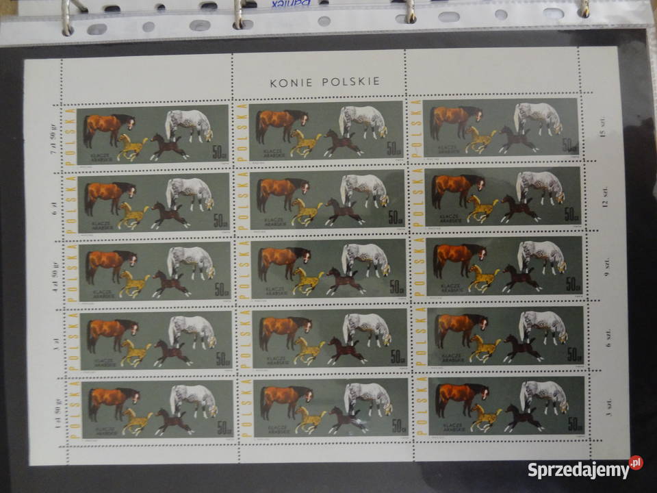 Znaczki pocztowe Polska Fi 1302 Ark