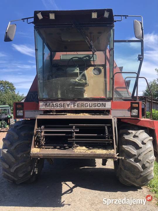 Massey Ferguson 31xp Dronningborg Mikoszewo