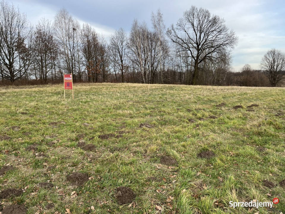 Działka wielofunkcyjna 087 ha w Kazimierzu Kazimierz Dolny