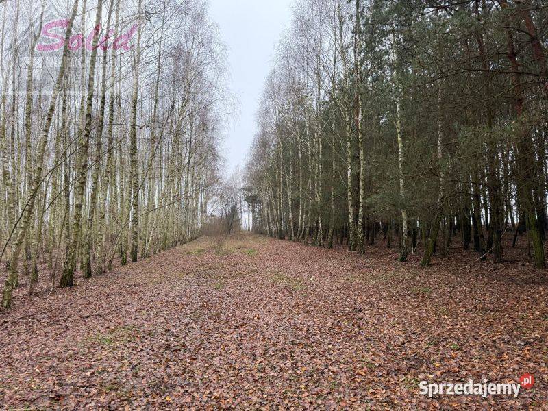działka z warunkami zabudowy w spokojnej kujawsko-pomorskie Stawek