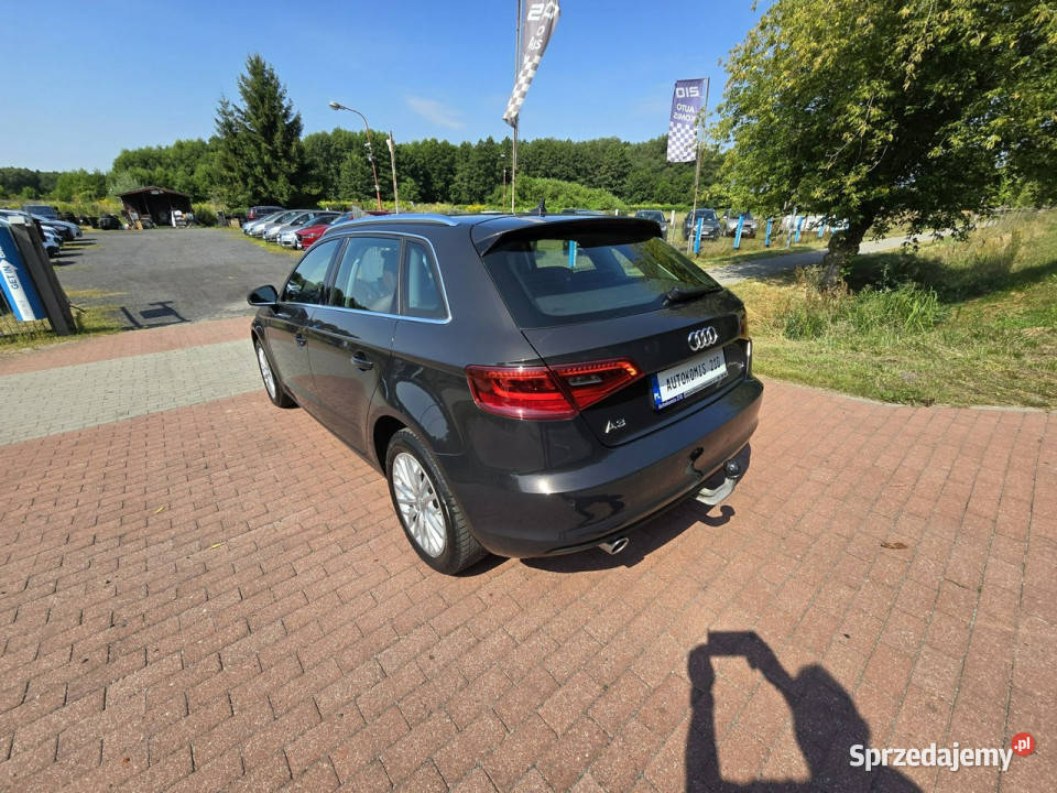 Audi A3 Audi A3 16 tdi Sportback 110 z niskim komputer pokładowy A3 Cielcza
