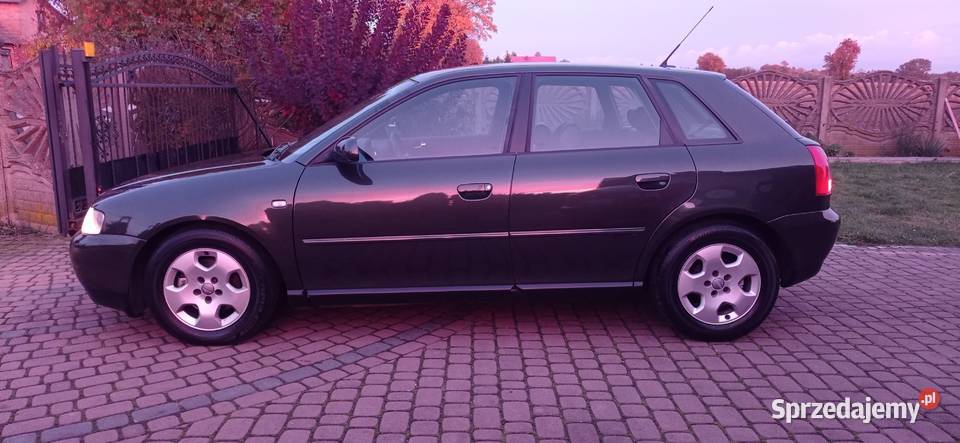 Audi A3 8L sline 5drzwi 19TDI VP 2001r Zduńska Wola