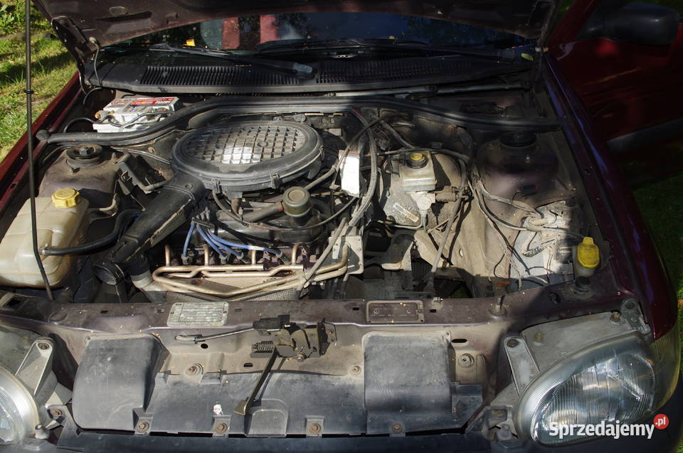 Ford escort z 1995 silnik benzynowy Budy Głogowskie