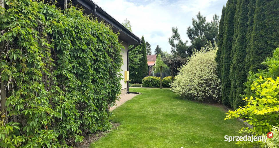 Nowoczesny dom Łanowa w Zamościu Liczba pokoi 5 Zamość