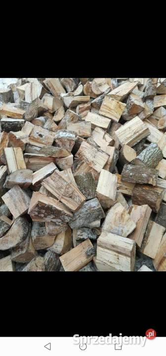 Drewno Buk Grab Dąb Jesion Brzoza Olcha warmińsko-mazurskie Morąg