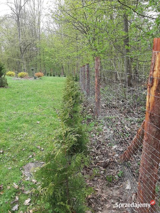 słupki toczone okrąglaki wałki drewniane