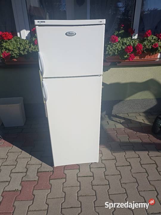Lodówka Pruszków