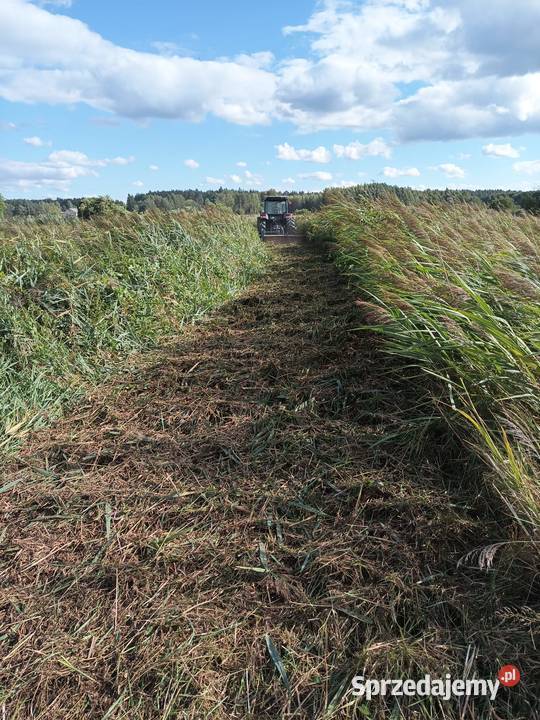 Usługa koszenia traw łąk nieużytków kosiarką Pielęgnacja ogrodów i trawników Dubienka