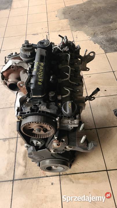 Głowica Ford Peugeot 9807255680 9807255910 osobowe Radom