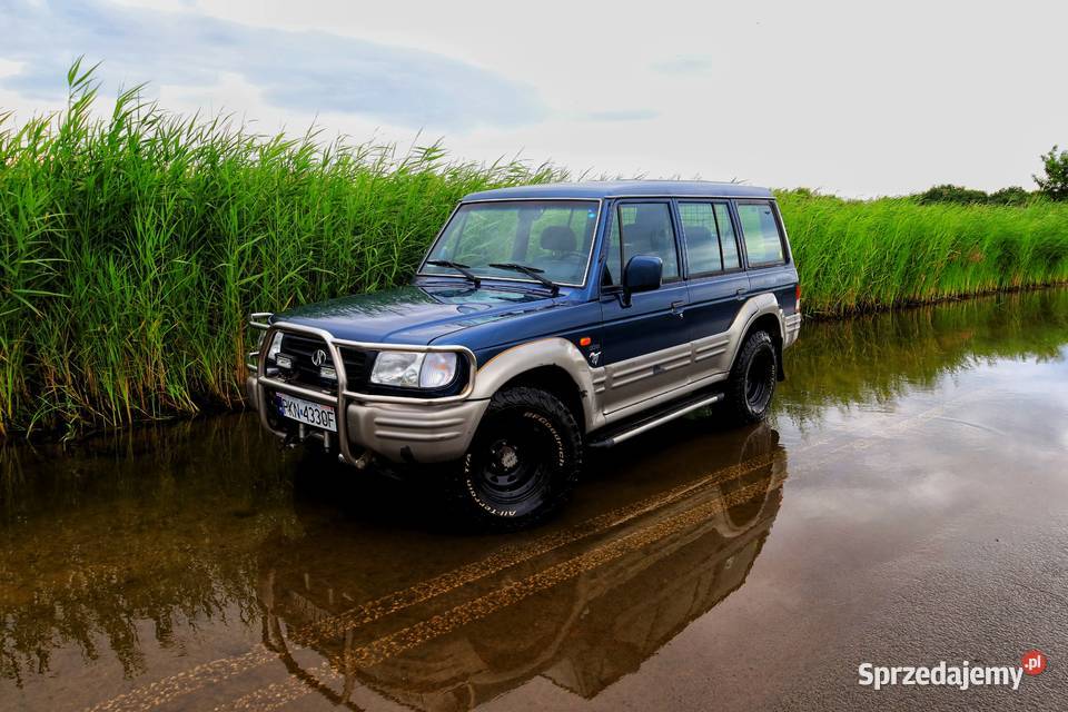 Hyundai Galloper salon nieuszkodzony Galloper wielkopolskie Konin