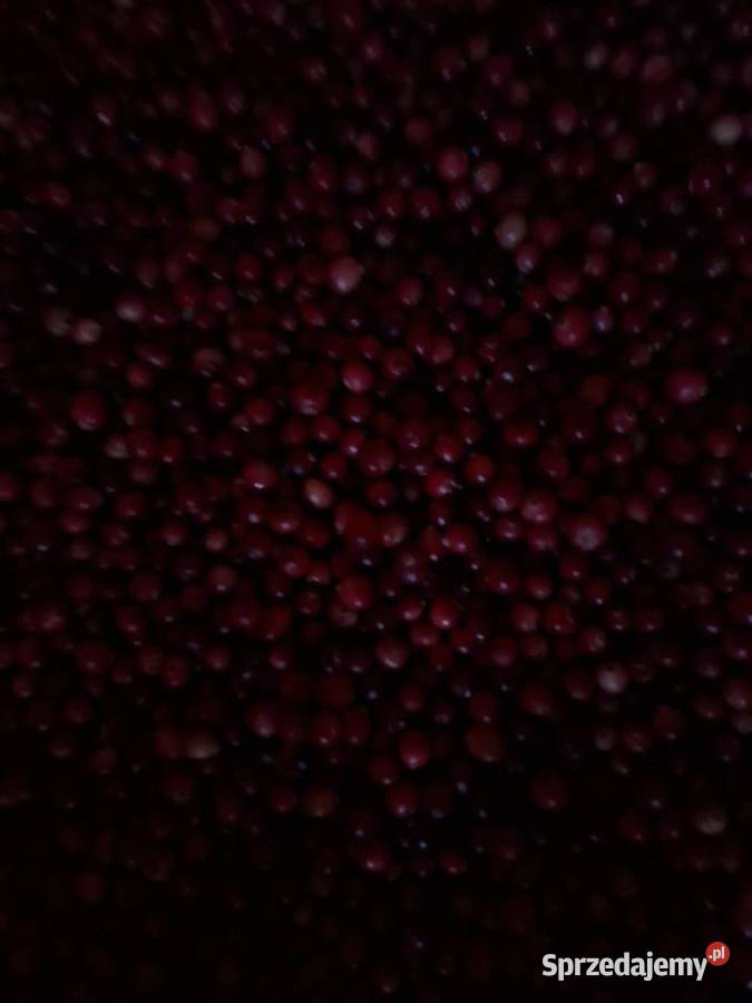 Żurawina bagiennaleśnabłotna litr Janów Lubelski