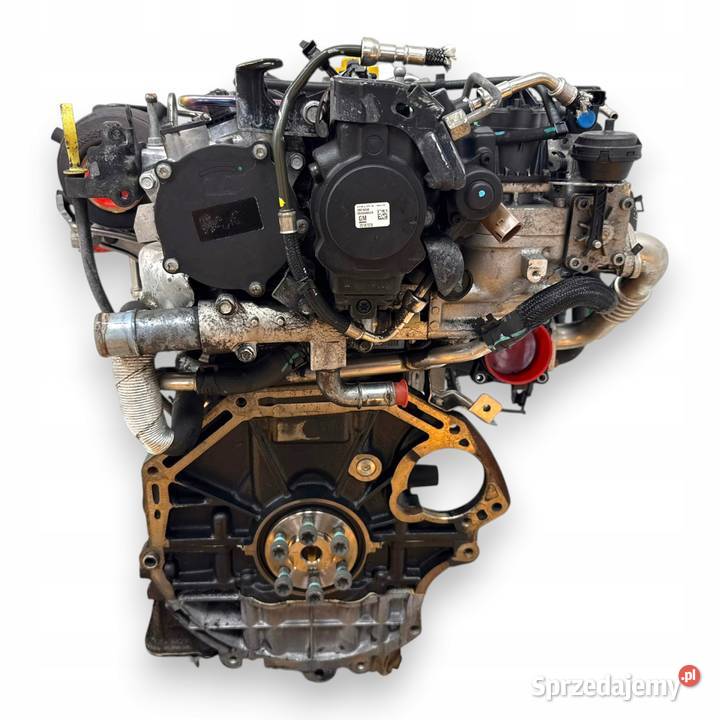 SILNIK Z22D1 Opel Antara Chevrolet Captiva 22 osobowe lubelskie